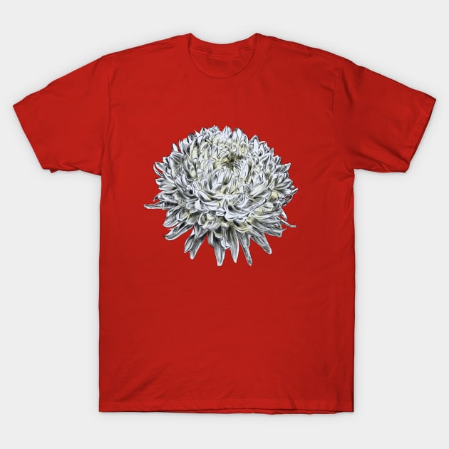 Blume T-Shirt by sibosssr